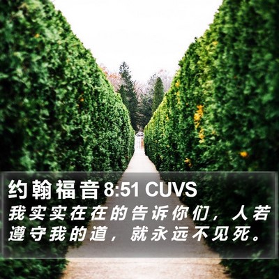 约 翰 福 音 8:51 CUVS Bible Verse Image
