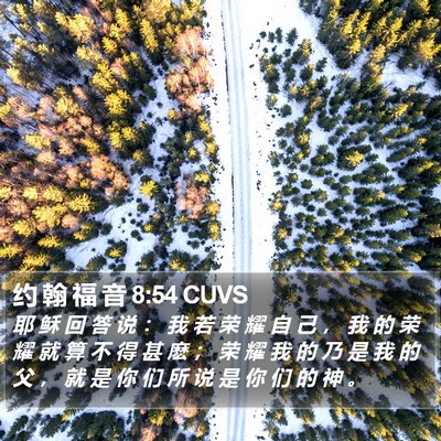 约 翰 福 音 8:54 CUVS Bible Verse Image