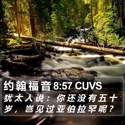 约 翰 福 音 8:57 CUVS Bible Verse Image