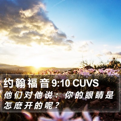 约 翰 福 音 9:10 CUVS Bible Verse Image