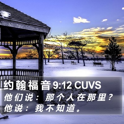 约 翰 福 音 9:12 CUVS Bible Verse Image