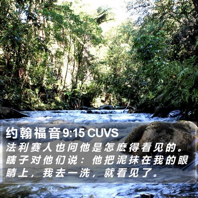 约 翰 福 音 9:15 CUVS Bible Verse Image