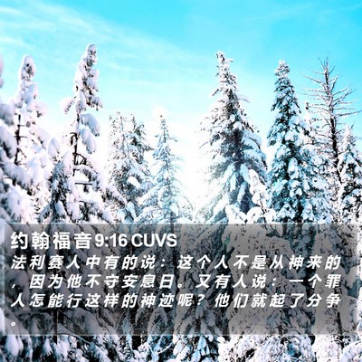 约 翰 福 音 9:16 CUVS Bible Verse Image