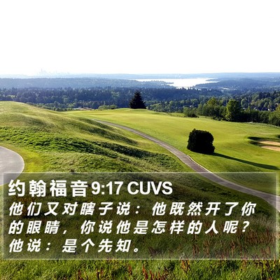 约 翰 福 音 9:17 CUVS Bible Verse Image