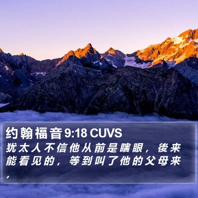 约 翰 福 音 9:18 CUVS Bible Verse Image