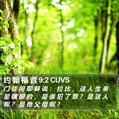 约 翰 福 音 9:2 CUVS Bible Verse Image