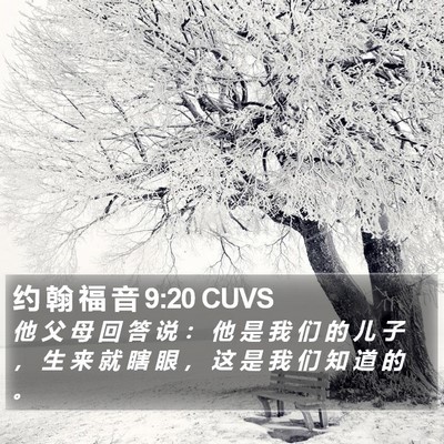约 翰 福 音 9:20 CUVS Bible Verse Image