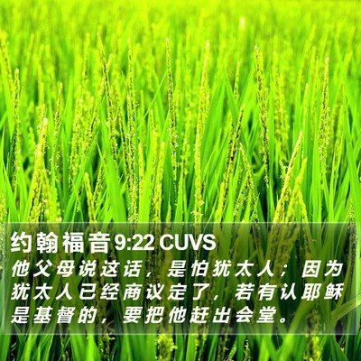 约 翰 福 音 9:22 CUVS Bible Verse Image