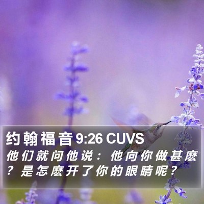 约 翰 福 音 9:26 CUVS Bible Verse Image