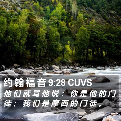 约 翰 福 音 9:28 CUVS Bible Verse Image