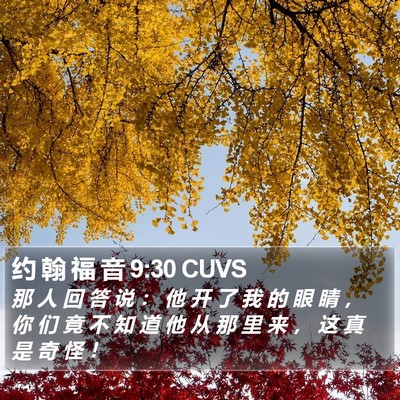 约 翰 福 音 9:30 CUVS Bible Verse Image