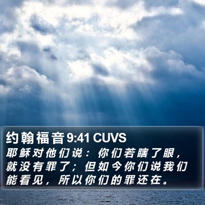 约 翰 福 音 9:41 CUVS Bible Verse Image