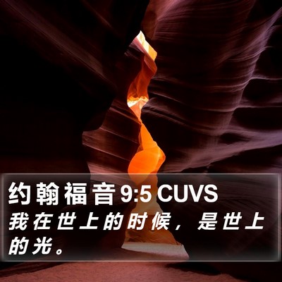 约 翰 福 音 9:5 CUVS Bible Verse Image
