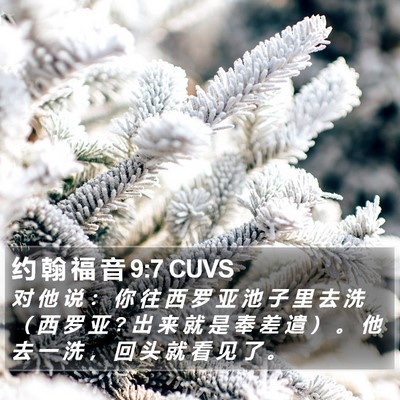 约 翰 福 音 9:7 CUVS Bible Verse Image
