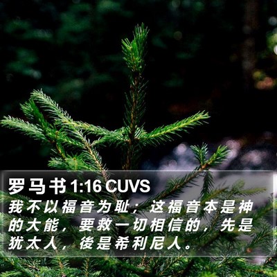罗 马 书 1:16 CUVS Bible Verse Image