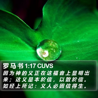 罗 马 书 1:17 CUVS Bible Verse Image