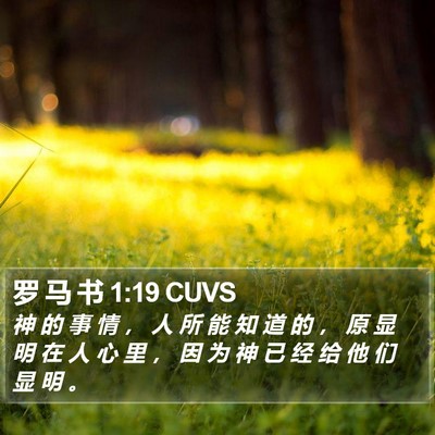 罗 马 书 1:19 CUVS Bible Verse Image