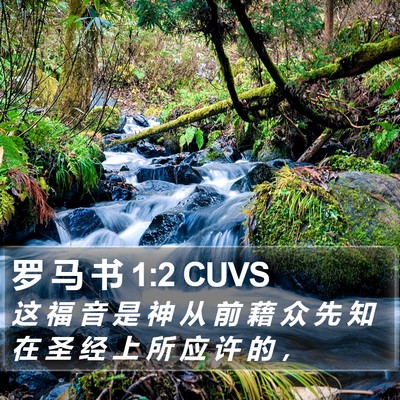 罗 马 书 1:2 CUVS Bible Verse Image
