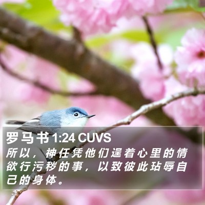 罗 马 书 1:24 CUVS Bible Verse Image