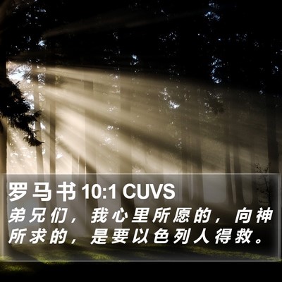 罗 马 书 10:1 CUVS Bible Verse Image