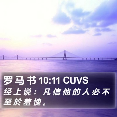 罗 马 书 10:11 CUVS Bible Verse Image