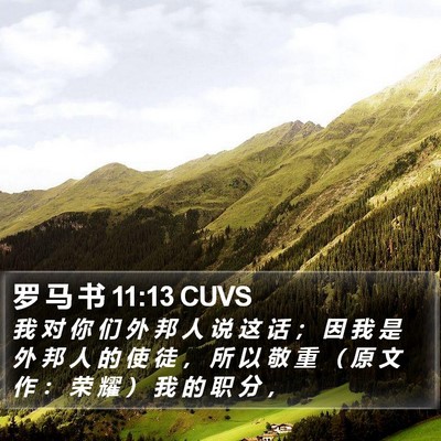 罗 马 书 11:13 CUVS Bible Verse Image