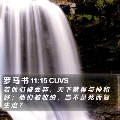 罗 马 书 11:15 CUVS Bible Verse Image