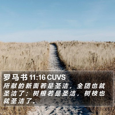 罗 马 书 11:16 CUVS Bible Verse Image
