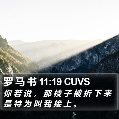 罗 马 书 11:19 CUVS Bible Verse Image