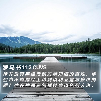 罗 马 书 11:2 CUVS Bible Verse Image