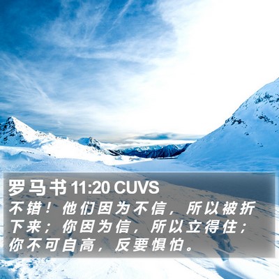 罗 马 书 11:20 CUVS Bible Verse Image