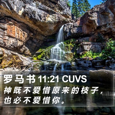 罗 马 书 11:21 CUVS Bible Verse Image