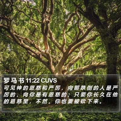 罗 马 书 11:22 CUVS Bible Verse Image
