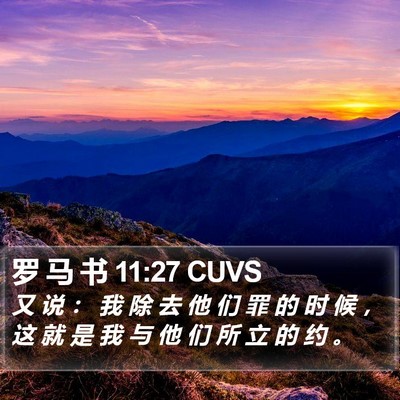 罗 马 书 11:27 CUVS Bible Verse Image