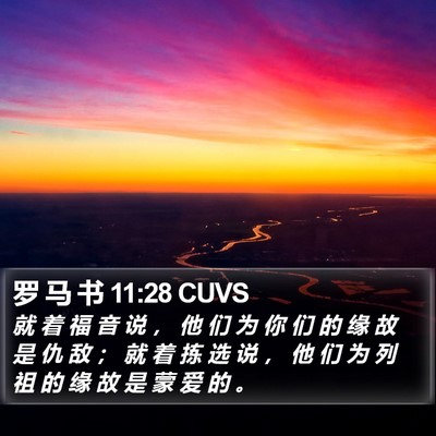 罗 马 书 11:28 CUVS Bible Verse Image