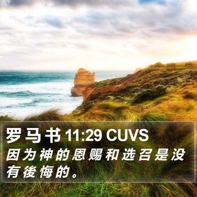 罗 马 书 11:29 CUVS Bible Verse Image