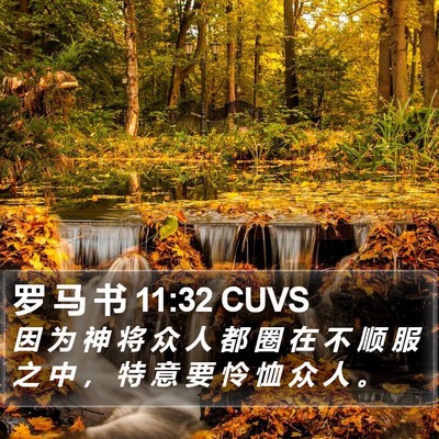 罗 马 书 11:32 CUVS Bible Verse Image