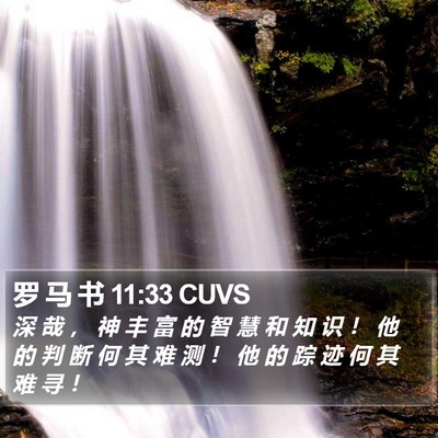 罗 马 书 11:33 CUVS Bible Verse Image
