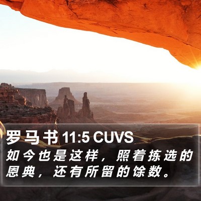 罗 马 书 11:5 CUVS Bible Verse Image