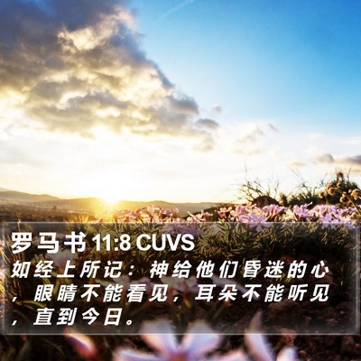 罗 马 书 11:8 CUVS Bible Verse Image