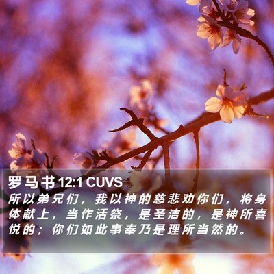 罗 马 书 12:1 CUVS Bible Verse Image