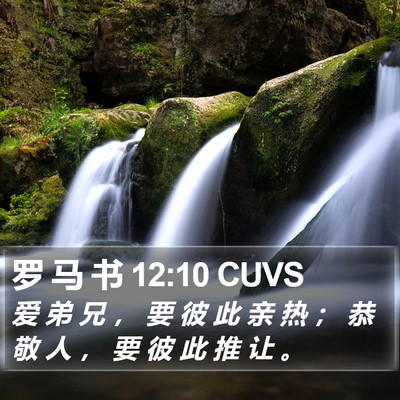 罗 马 书 12:10 CUVS Bible Verse Image