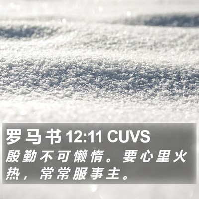 罗 马 书 12:11 CUVS Bible Verse Image