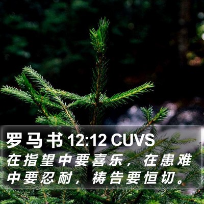 罗 马 书 12:12 CUVS Bible Verse Image