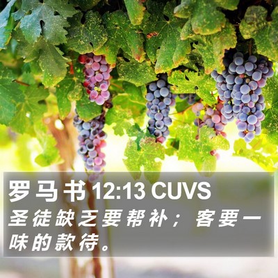 罗 马 书 12:13 CUVS Bible Verse Image