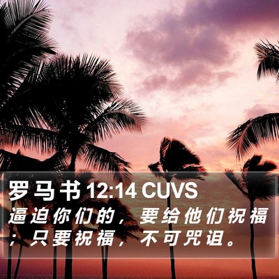 罗 马 书 12:14 CUVS Bible Verse Image
