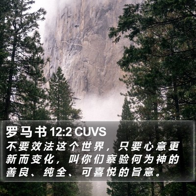 罗 马 书 12:2 CUVS Bible Verse Image