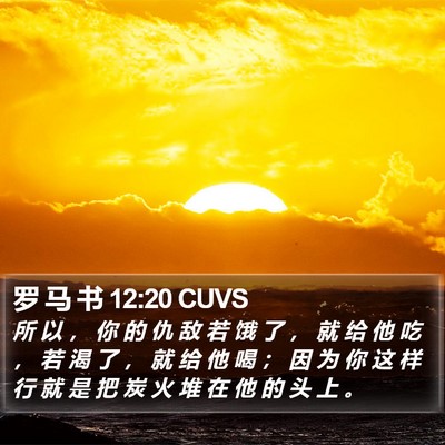 罗 马 书 12:20 CUVS Bible Verse Image