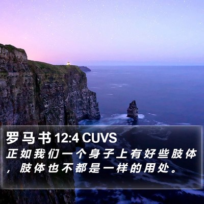 罗 马 书 12:4 CUVS Bible Verse Image
