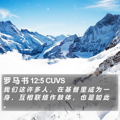 罗 马 书 12:5 CUVS Bible Verse Image